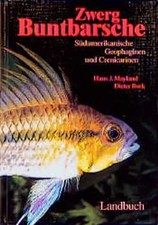 Zwergbuntbarsche