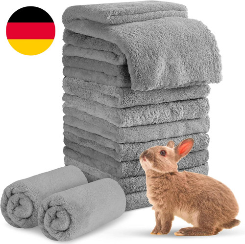 Stück meerschweinchen - stück,