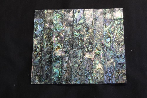 Grünes abalone dünnes blatt - dünnes,