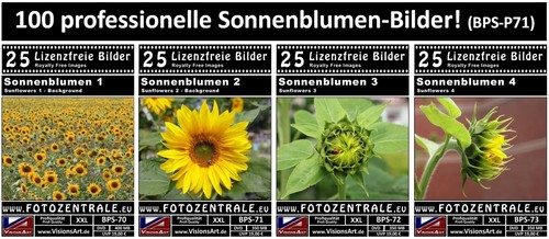 100 lizenzfreie - 100,