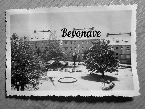 Foto dresden hechtstraße - dresden, 1953