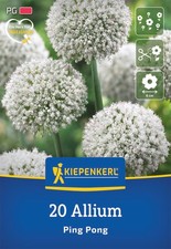 Kiepenkerl Zierlauch Ping Pong – 20 Allium-Zwiebeln für Beet & Schnitt
