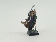 Warhammer Fantasy Dunkelelfen Held Korsar D10