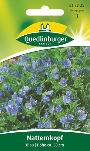 Natternkopf blau samen - blau, von