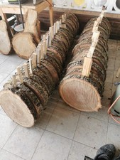 Baumscheibe  Eiche 40× 40 /5