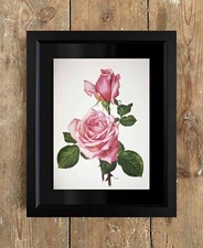 Handgerahmter Original Lithographie Druck Blumen Rosen von Anne Marie Trechslin