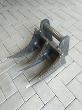 Reißzahn rodezahn - reißzahn,