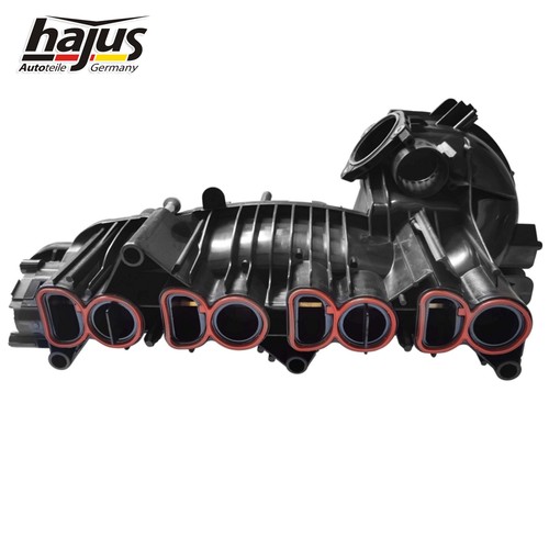 Hajus ansaugbrücke - hajus,