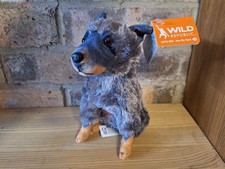 Australian Cattle Dog - 7 Zoll