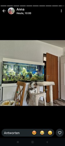 Aquarium juwel rio 350 - 350, l