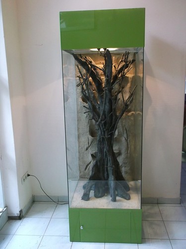 Hochkant glas terrarium - hochkant,