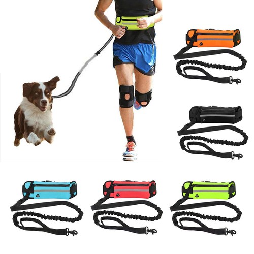 Polyester leine pet outdoor - polyester,