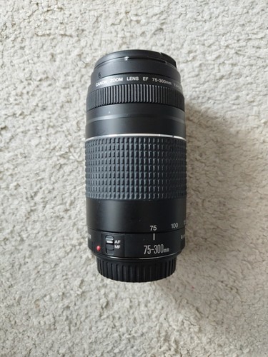 Canon 300 4 - ef, 75-300