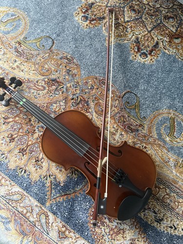 Akustische violine poliert - akustische, 1/2