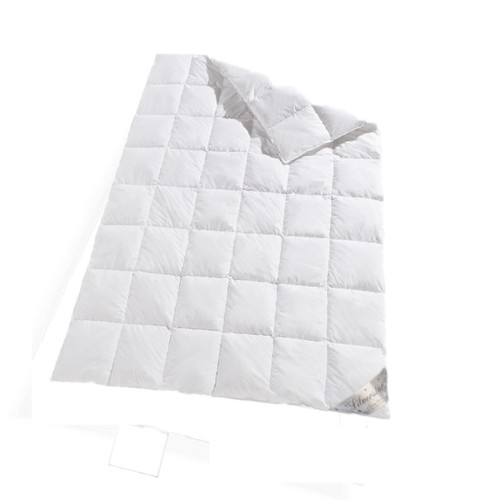 Typ eiderdaune silverstar - typ,