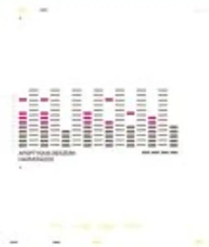 Apoptygma berzerk harmonizer - -,