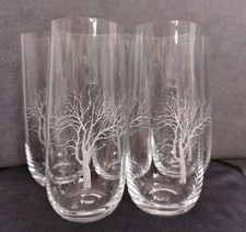Seltene 5 Stück Wassergläser