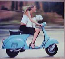 Retro Blechschild Oldtimer Motorroller Vespa Piaggio Roller