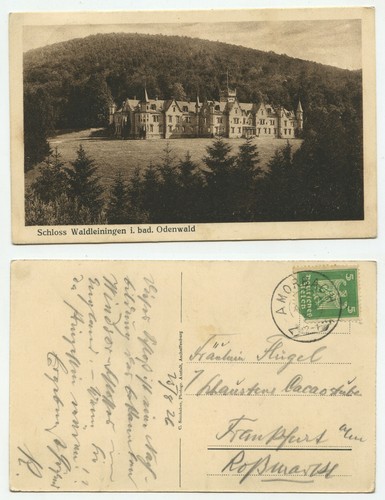 03593 schloss waldleiningen - schloss,