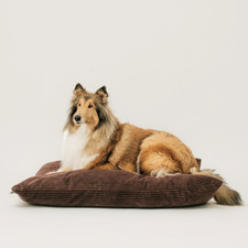 4L Textil MOLLY Hundekissen
