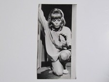 Pressefoto Kinobild VIVI BACH