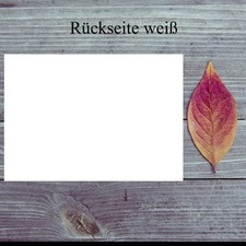 Postkarte. Postkarte. Frau auf Fahrrad mit Korb