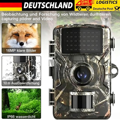 Wildkamera mit nachtsicht - wildkamera,
