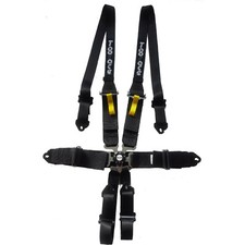  FIA 6-Punkt Hosenträgergurt