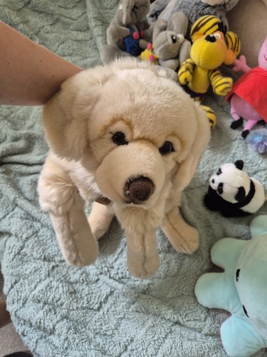 70cm golden retriever - 70cm, xl