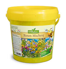 Bienen-Mischung Blumenwiese - farbenfrohe Mischung verschiedener Sommerblumen un