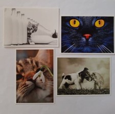Ansichtskarten Katzen 4er