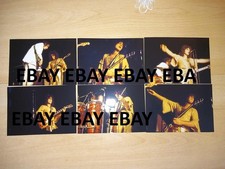 T-Rex 6 Fotos Photos Bilder