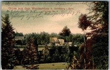 AK GRUSS AUS SCHLESIEN GOLDBERG BZ LIEGNITZ WALDSCHLOSS COL. 1915