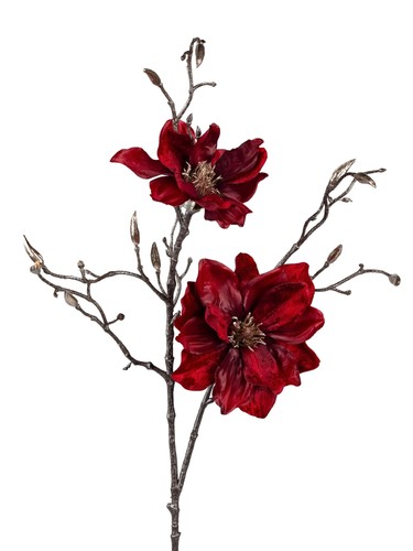 Deko magnolien zweig winter - deko,