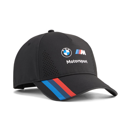 Bmw motorsport team 2026 - team,