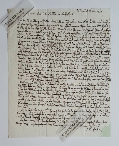1820 palm altnau schweiz - palm,