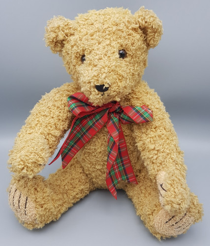 Sunkid teddy bär - sunkid,