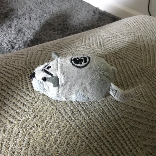 Zhu haustiere hamsterdorn - zhu,