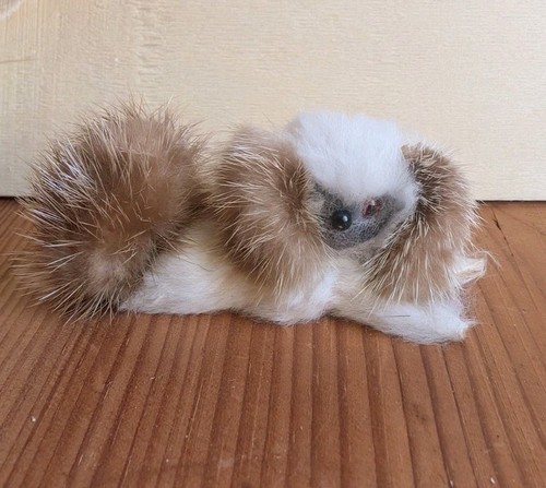 Alte tierfigur pekinese - tierfigur,