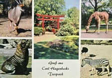 AK Hamburg Tierpark Hagenbecks