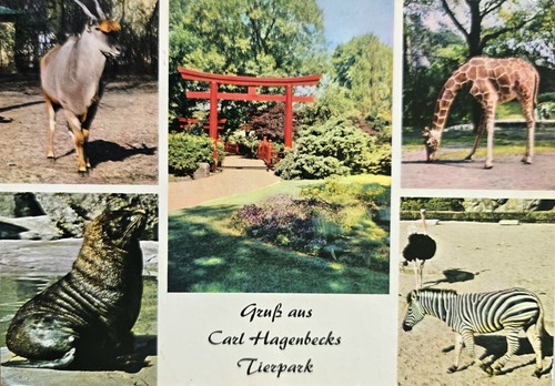 Hamburg tierpark hagenbecks - hamburg,