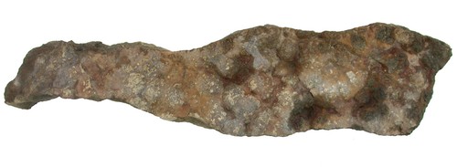 Perm stromatolithen kolonie - ,