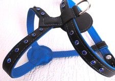 HUNDEGESCHIRR - Geschirr