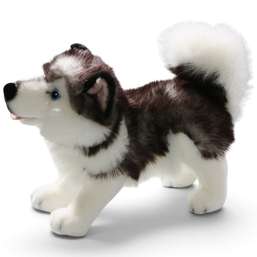 Carl dick husky stehend - stehend, ca