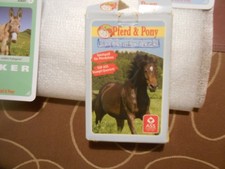 Pferd und Pony Die Schönsten