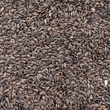 Schwarze - 25, kg