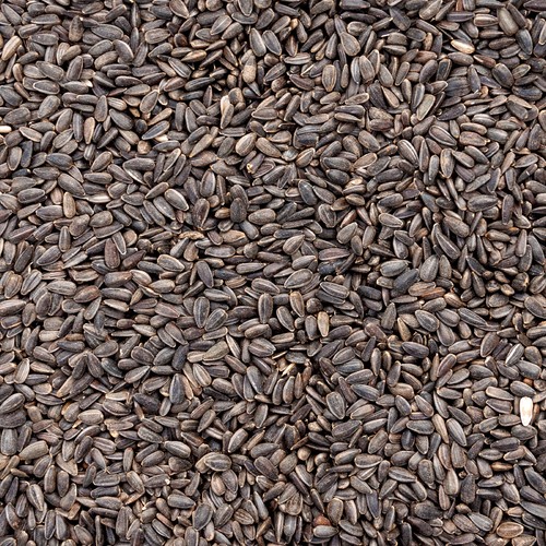 Schwarze - kg,