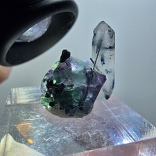 Phantom Fluorit, Schörl