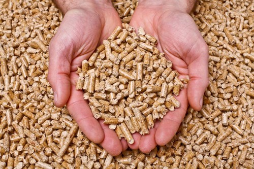 Natur katzenstreu naturprodukt - natur,