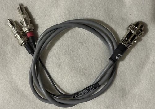 Phonosophie pin auf rca high - auf,